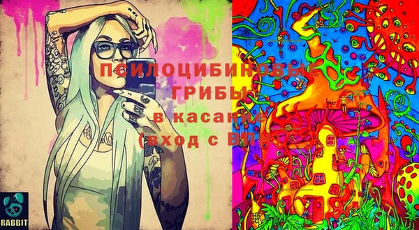 ECSTASY Аркадак